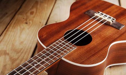 Top 8 Best Tenor Ukuleles For Beginners