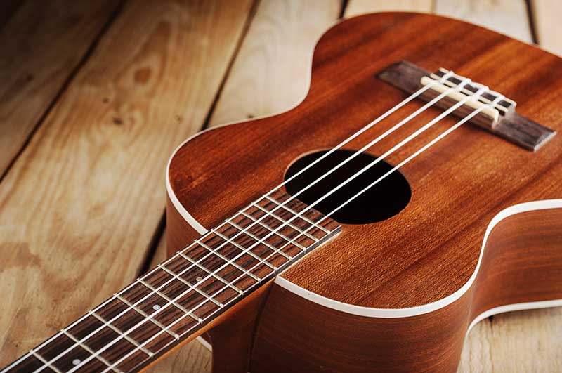 Top 8 Best Tenor Ukuleles For Beginners