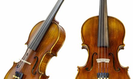 16 Best Violin for Beginner & Intermediate Players in 2024