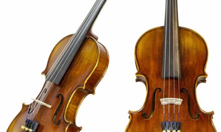 16 Best Violin for Beginner & Intermediate Players in 2025