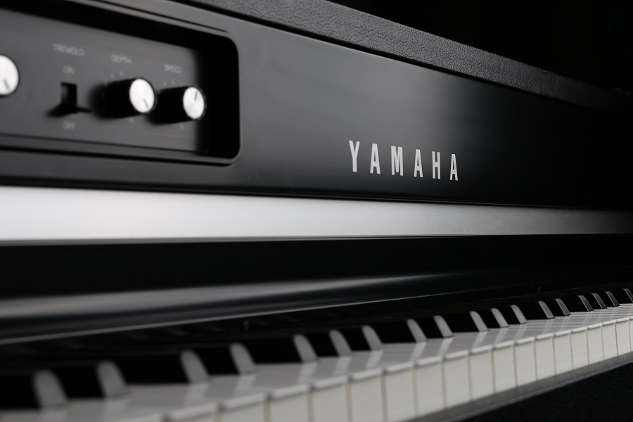 8 Best Yamaha Digital Pianos – Complete Review 2024