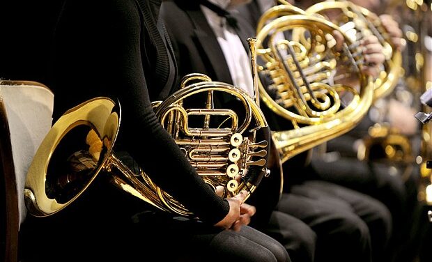 Best 8 French Horns for Beginners and Intermediate Players 2025