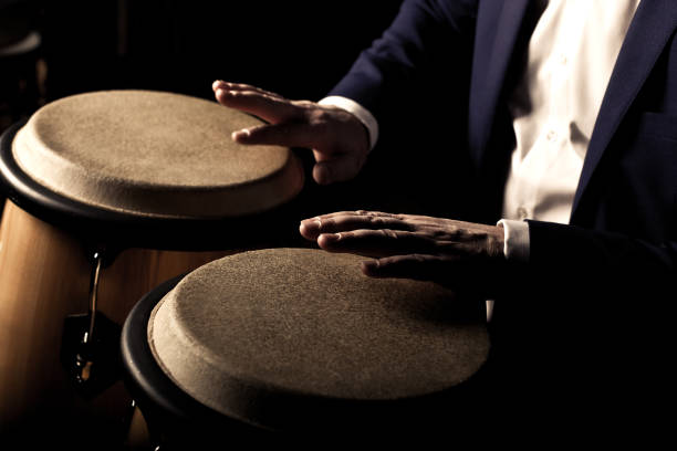 7 Best Congas for Beginners and Curious Musicians