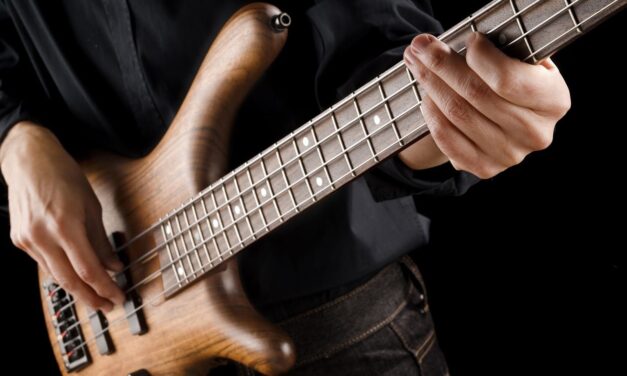 8 Best Bass String Sets for Beginners and Advanced Players 2024